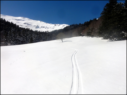 dh--iris--au-cirque-de-chamalires-6-mars-2014 12973226804 o