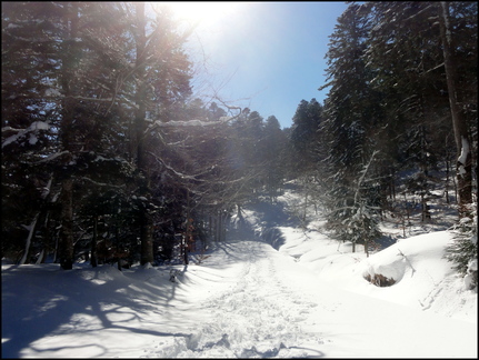 dh--iris--au-cirque-de-chamalires-6-mars-2014 12972941214 o