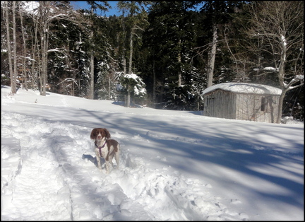 dh--iris--au-cirque-de-chamalires-6-mars-2014 12972840214 o