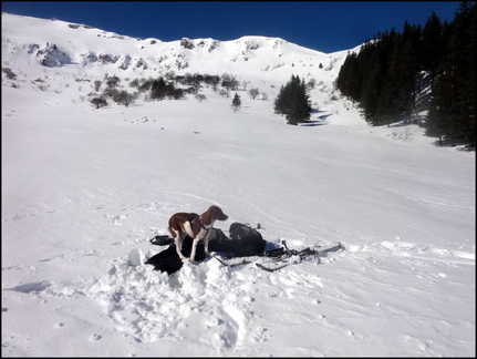 dh--iris--au-cirque-de-chamalires-6-mars-2014 12972892313 o