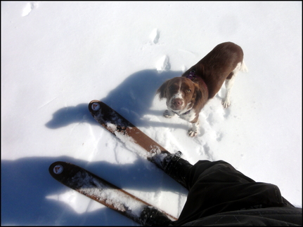 dh--iris--au-cirque-de-chamalires-6-mars-2014 12973568193 o