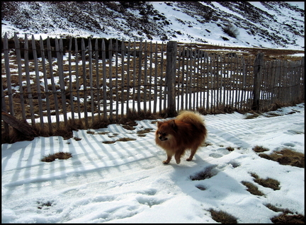 dh----prat-de-bouc 5496626628 o