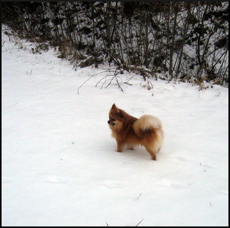 dana-hilliot---the-little-one-in-the-vaste-land 4257894574 o