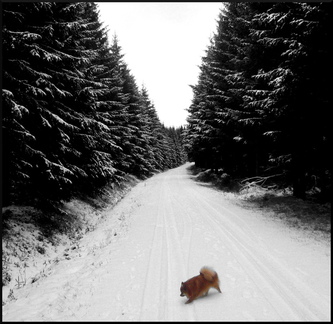 dana-hilliot---the-little-one-in-the-vaste-land 4257133613 o