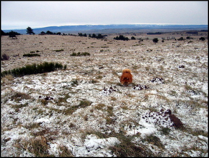 dana-hilliot---my-new-friend--mon-nouveau-poto 4245043590 o