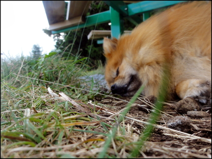 dh---la-molde 7667459396 o