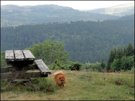 dh---la-molde 7667464564 o