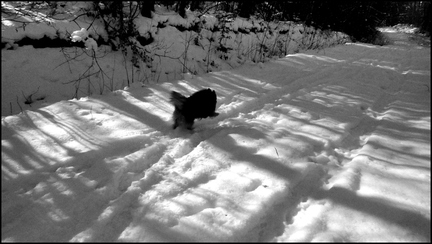 dh--capou--brrrrrrr 6812742623 o