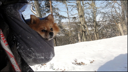 dh--capou--brrrrrrr 6812748299 o