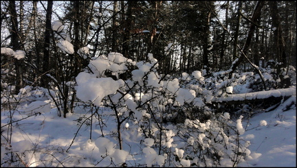 dh---par-un-jour-glacial 6812751395 o