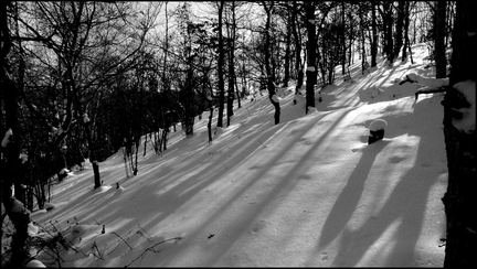 dh---par-un-jour-glacial 6812754679 o