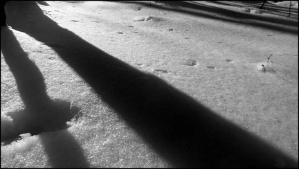 dh---par-un-jour-glacial 6812757469 o