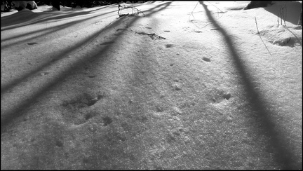 dh---par-un-jour-glacial 6812760045 o