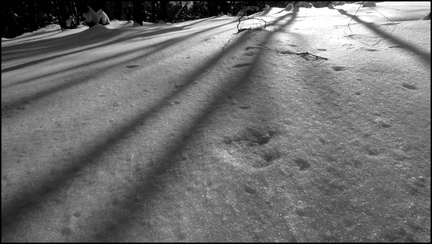 dh---par-un-jour-glacial 6812762695 o