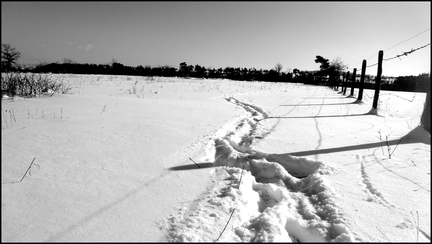 dh---par-un-jour-glacial 6812769891 o