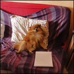 dh---fragments-de-fvrier 6865745125 o