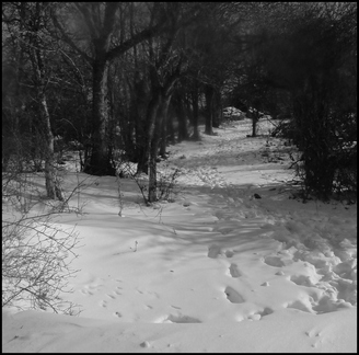 dh---fragments-de-fvrier 6865751385 o