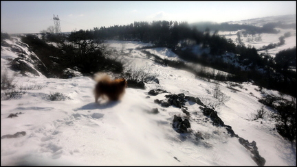 dh---fragments-de-fvrier 6865768441 o