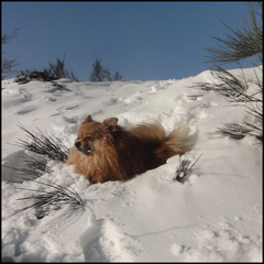 dh---fragments-de-fvrier 6865770715 o