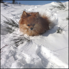 dh---fragments-de-fvrier 6865773233 o