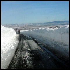 dh---lescure 6777940058 o