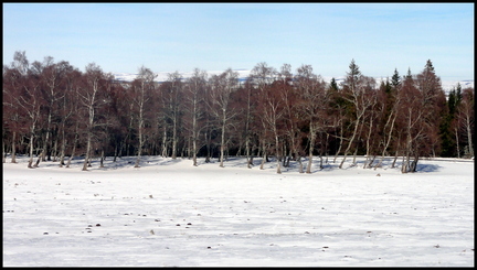 dh---lescure 6777944394 o