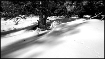 dh---lescure 6924062457 o