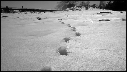 dh---lescure 6777955384 o