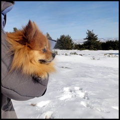 dh---lescure 6924072167 o