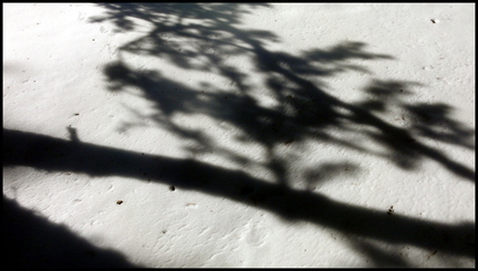 dh---lescure 6924074651 o