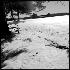 dh---lescure 6924075451 o