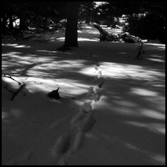 dh---lescure 6924076161 o