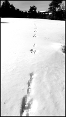 dh---lescure 6924077241 o