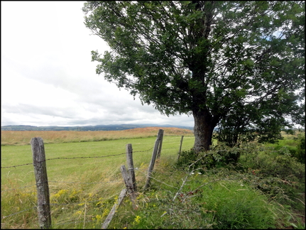 dh---planeze 7555889730 o