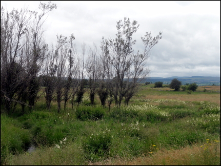 dh---planeze 7555897240 o