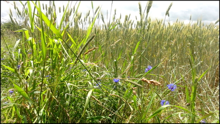 dh---planeze 7555917976 o