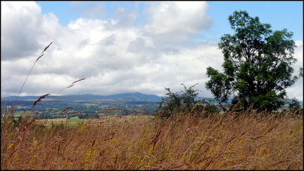 dh---planeze 7555932926 o