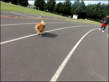 dh---prparation-pour-les-jeux-de-londres 7585108340 o