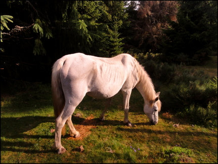 dh---la-molde 7667469926 o