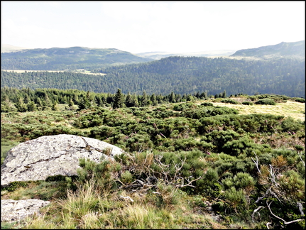 dh---la-molde 7667485716 o