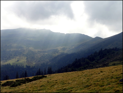 dh---la-molde 7667491464 o