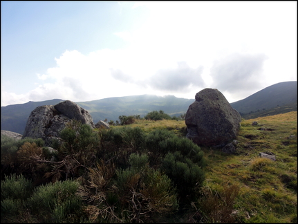 dh---la-molde 7667495744 o