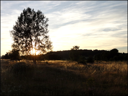 dh---ciel-de-la-planeze 7748774658 o