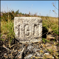 dh---ign 7760747834 o