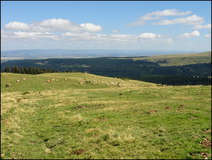 dh---la-randonne-au-rocher-de-la-sagne-du-porc-1716-m 7866612216 o