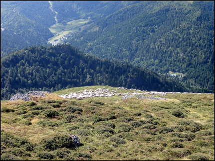 dh---la-randonne-au-rocher-de-la-sagne-du-porc-1716-m 7866864718 o