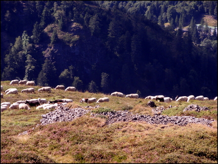 dh---la-randonne-au-rocher-de-la-sagne-du-porc-1716-m 7866880746 o