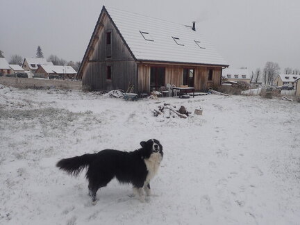 24388302338 74aae29102 k