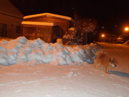 25266673847 21a458313e k