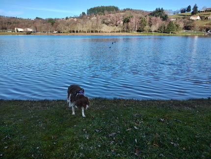 IMG 20260224 170521805 HDR